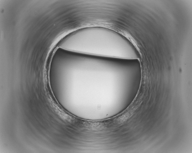 X0000087741072200705070921