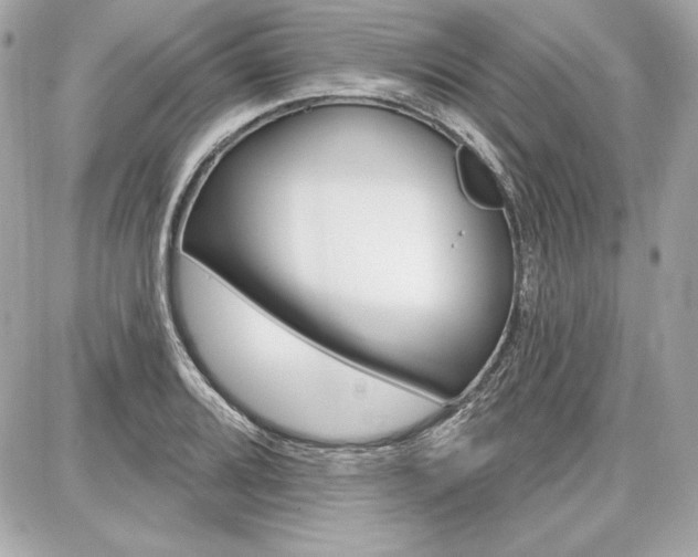 X0000087741080200705070920