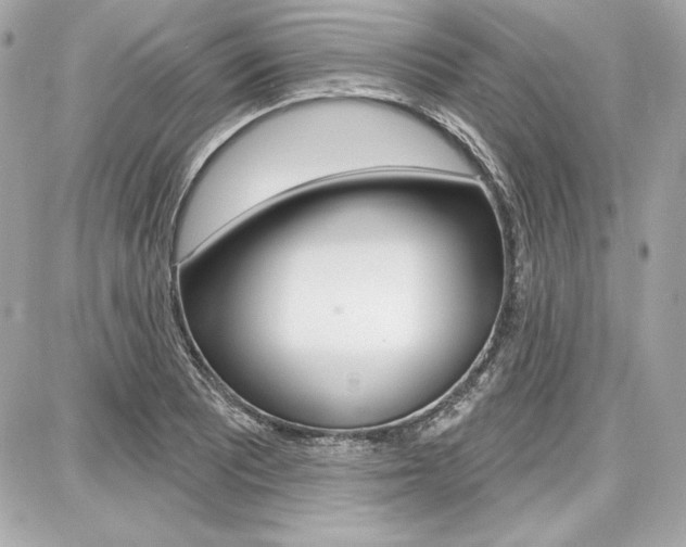 X0000087741081200705070920