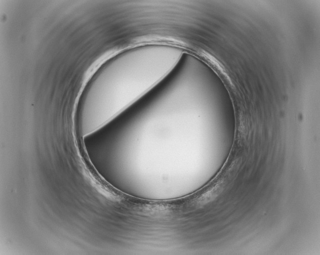 X0000087741082200705070920