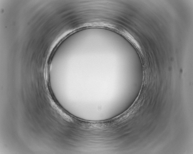 X0000087741084200705070920