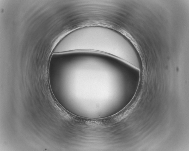 X0000087741089200705070920