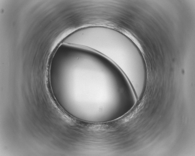 X0000087741093200705070920