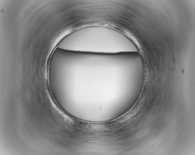 X0000087741095200705070920