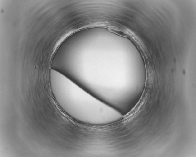 X0000087741097200705070920