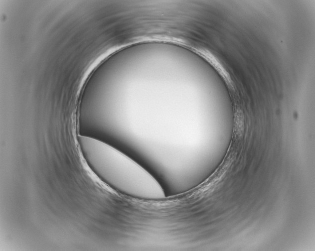 X0000087741100200705070920