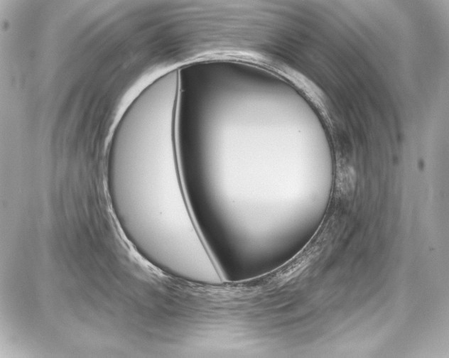 X0000087741102200705070920