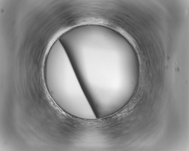 X0000087741104200705070920