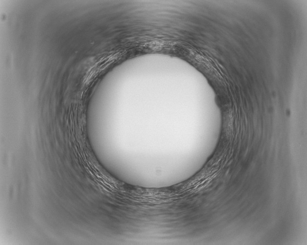 X0000087741105200705070919