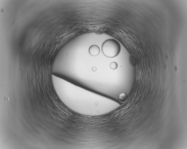 X0000087741106200705070919