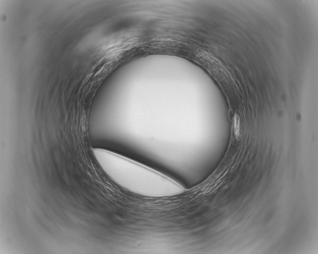 X0000087741107200705070919