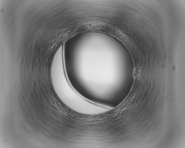 X0000087741108200705070919