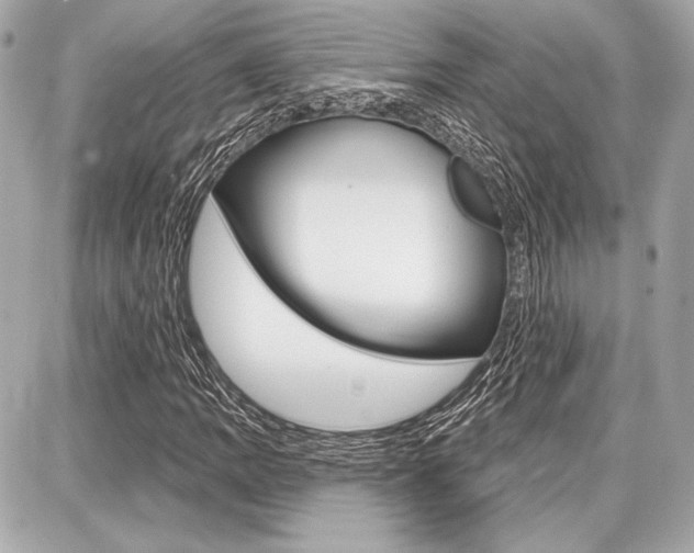 X0000087741109200705070919