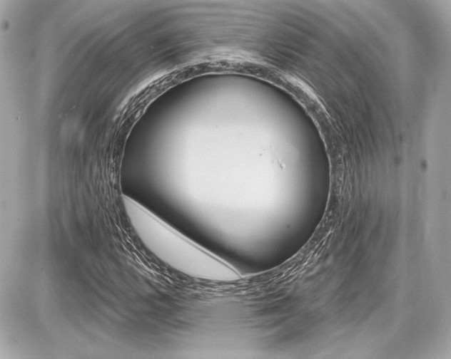 X0000087741112200705070919