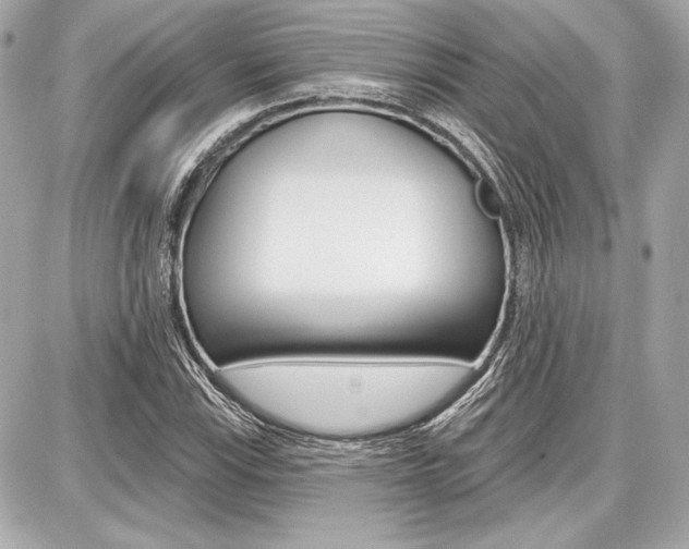 X0000087741115200705070919
