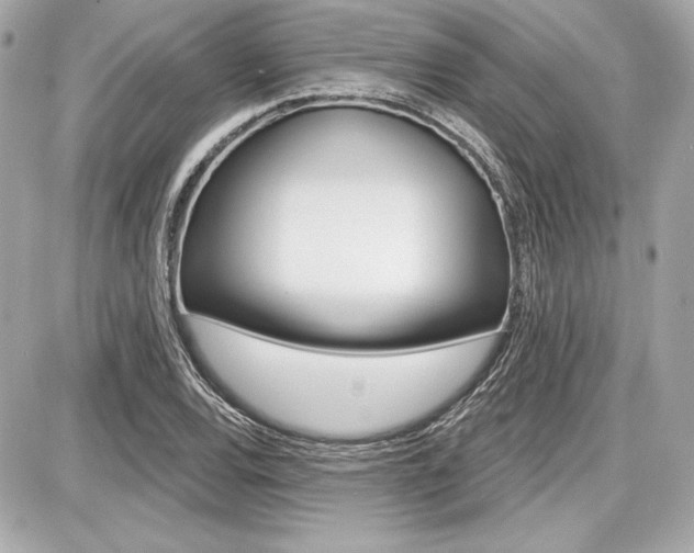 X0000087741120200705070919