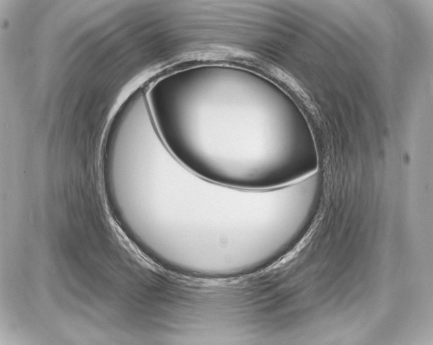 X0000087741122200705070920