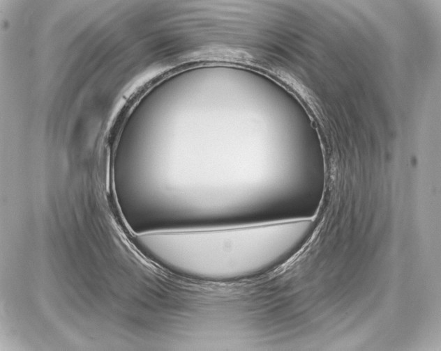 X0000087741123200705070920