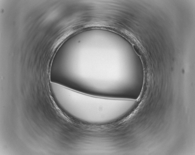 X0000087741129200705070920