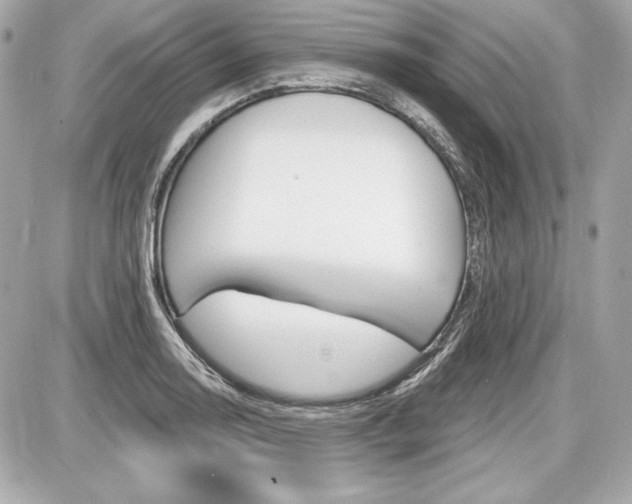 X0000087741130200705070920