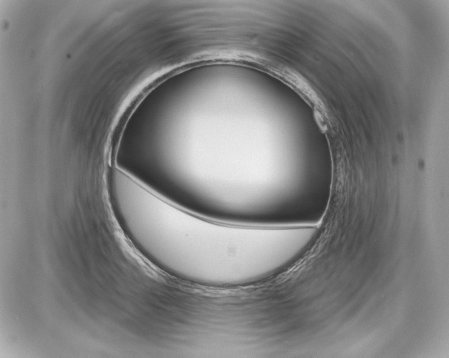 X0000087741132200705070920