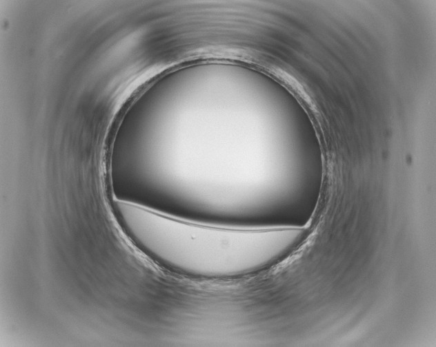 X0000087741133200705070920