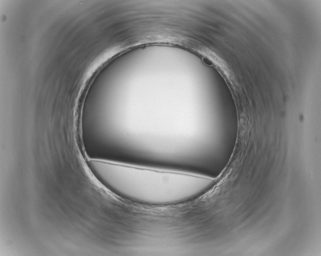 X0000087741135200705070920