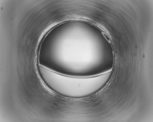 X0000087741136200705070920