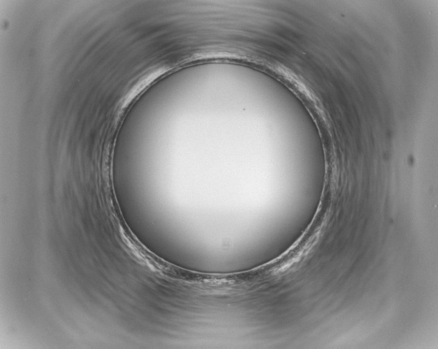 X0000087741137200705070920