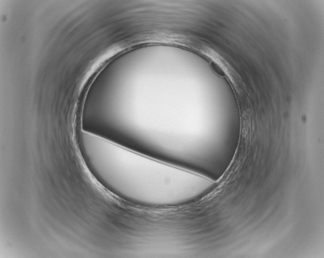X0000087741139200705070920