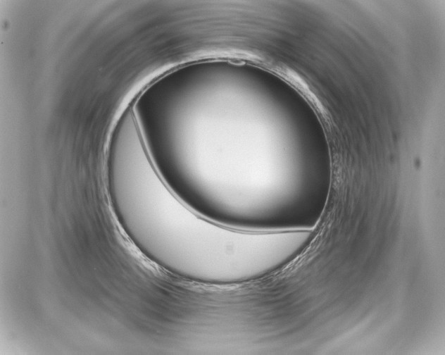 X0000087741140200705070920