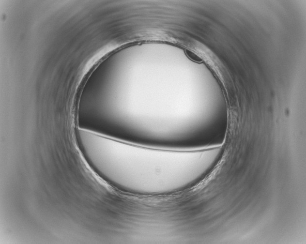 X0000087741141200705070920
