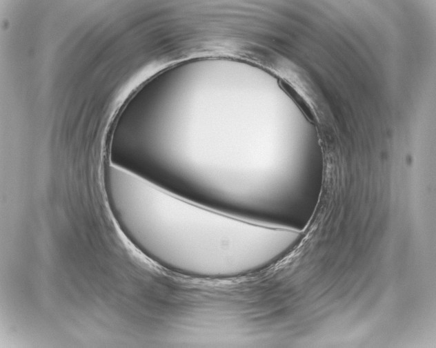 X0000087741143200705070920
