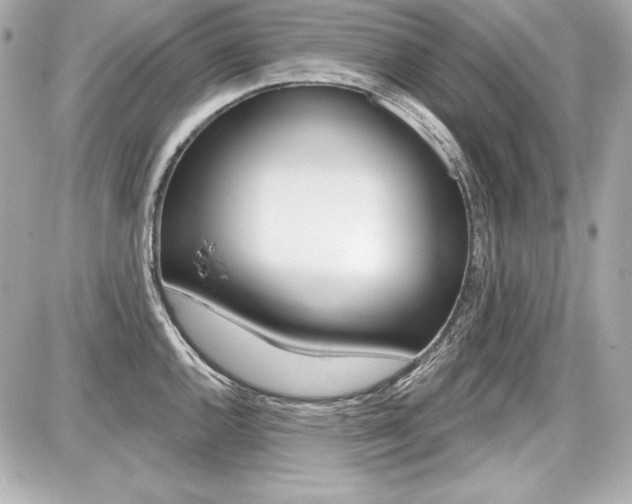 X0000087741144200705070920