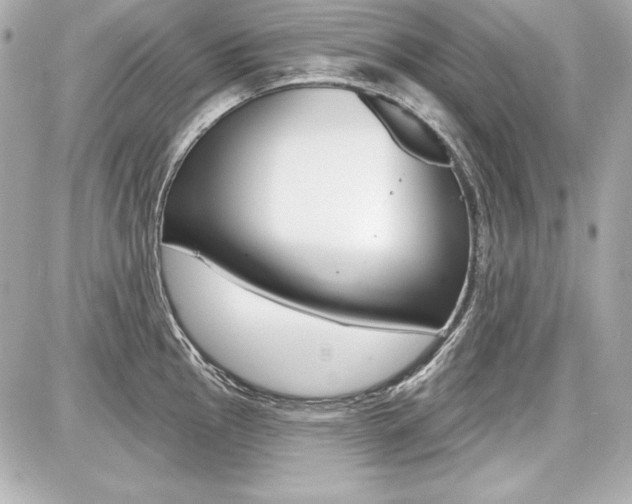 X0000087741145200705070920
