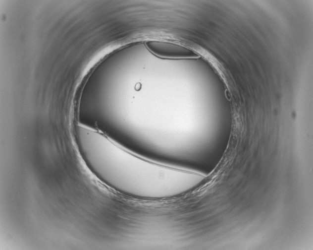 X0000087741147200705070920