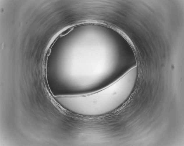X0000087741148200705070920