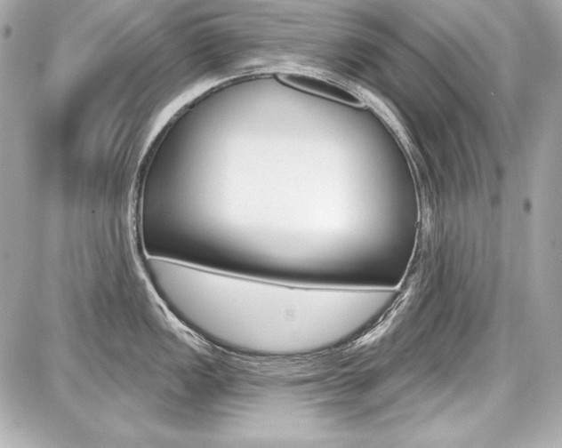 X0000087741149200705070920