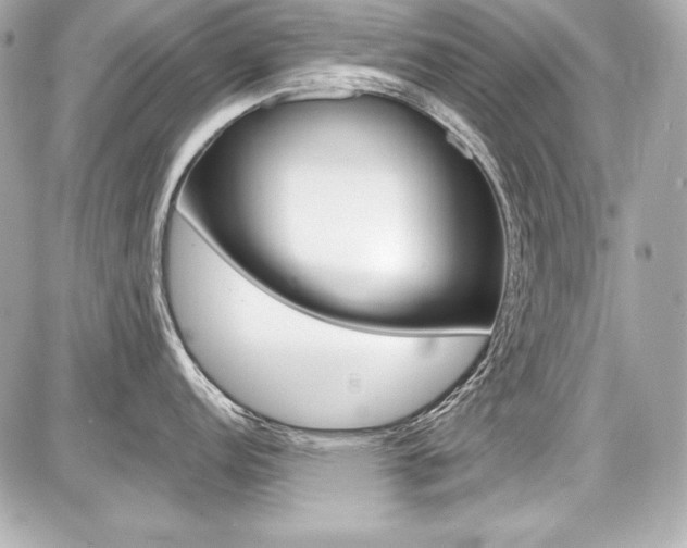 X0000087741152200705070920