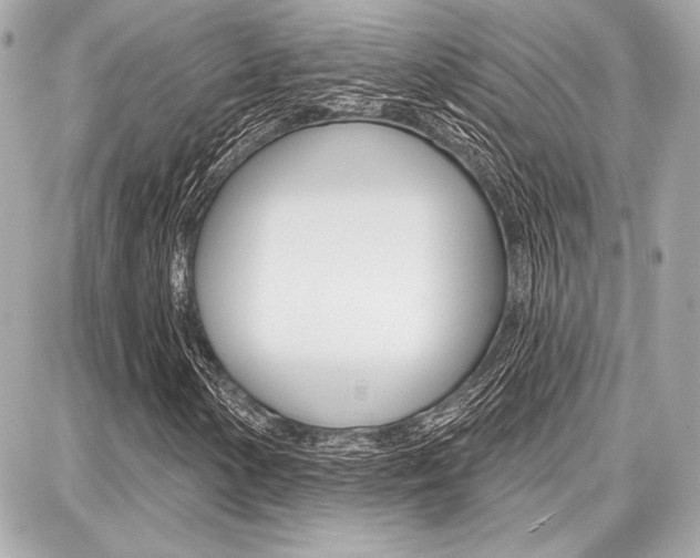 X0000087741154200705070919