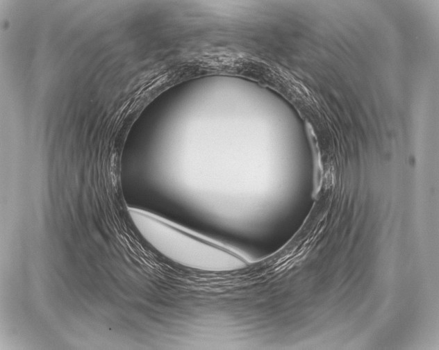 X0000087741156200705070919