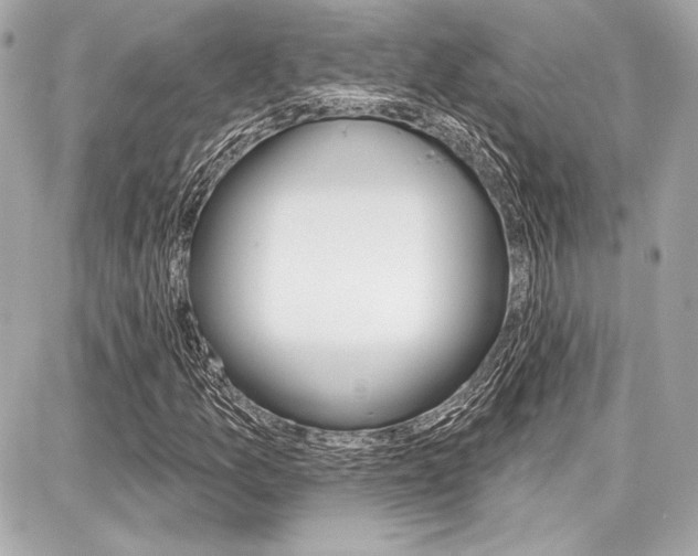 X0000087741157200705070919