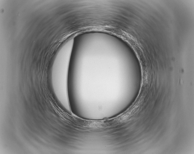 X0000087741161200705070919