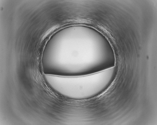 X0000087741163200705070919