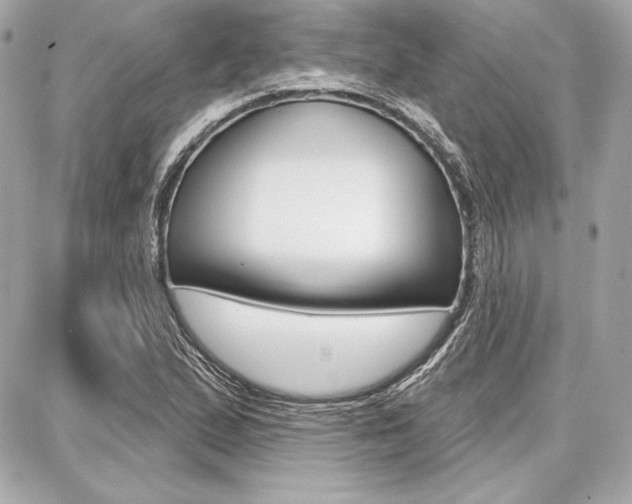 X0000087741167200705070919