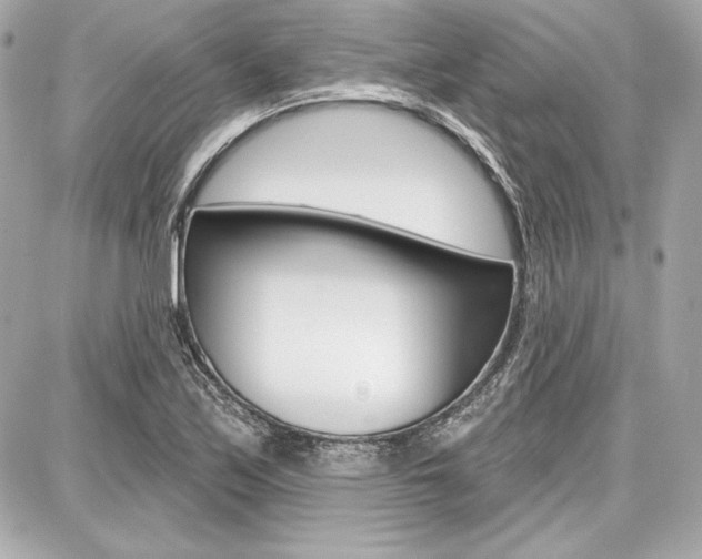 X0000087741171200705070919