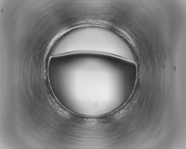 X0000087741172200705070919