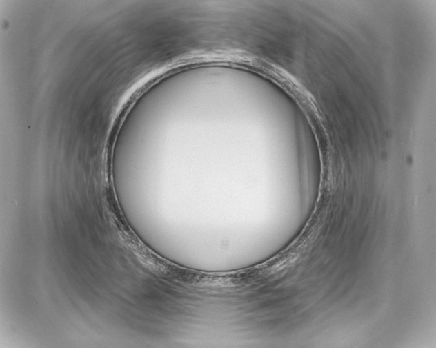 X0000087741174200705070919