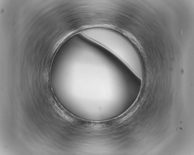 X0000087741177200705070919
