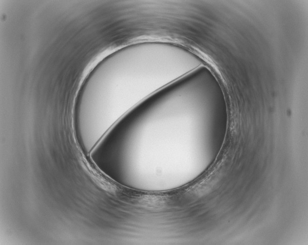 X0000087741179200705070919